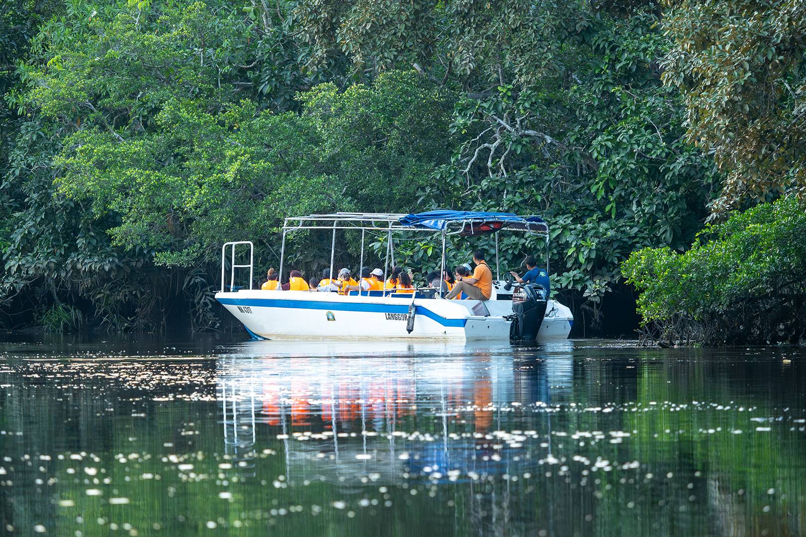 Klias Proboscis Monkey River Cruises & Fireflies Tour